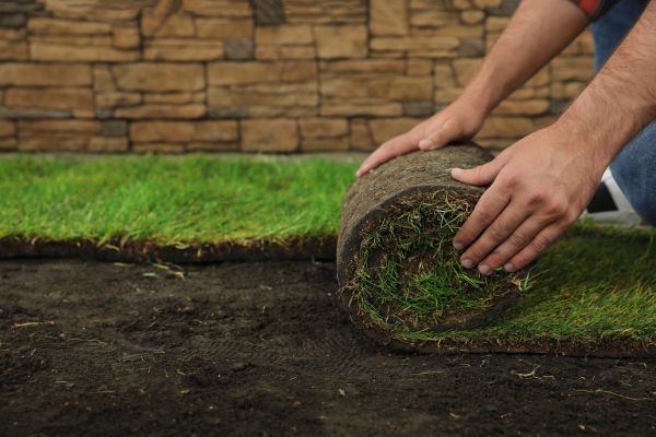 Sod Landscaping - Sod Landscaping Marietta, Georgia